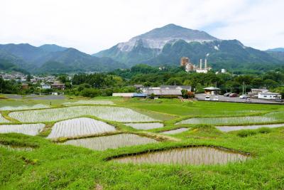 6月の秩父散歩~寺坂棚田と武甲山、そして4か所の札所巡り