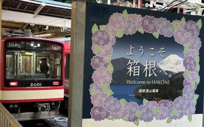 箱根登山鉄道あじさい電車