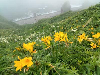 今年の夫婦旅行は積丹半島のウニとエスコンフィールド北海道で野球観戦(^。^)y-.。o○
