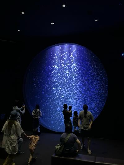 202406 クラゲを見て人面魚を探す、日帰り旅