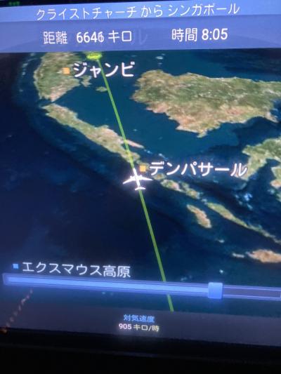 女子1人ビジネスで秋彩ニュージーランド　パート7