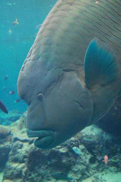 5年振りの沖縄徘徊ドライブ ②