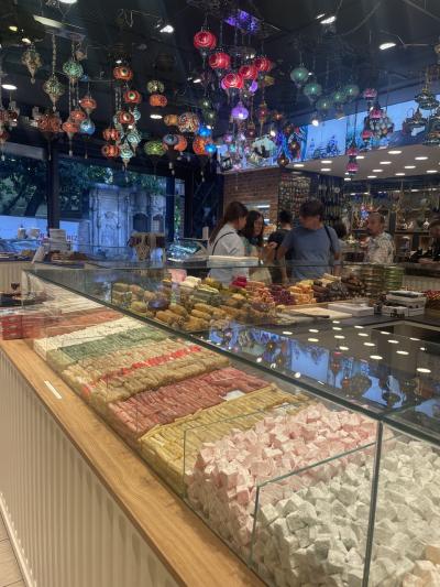 中国東方航空で行くセントレア発上海経由イスタンブールカッパドキア6泊8日 イスタンブール編3日目