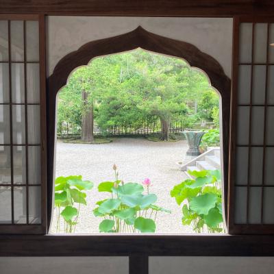 ｢自分をととのえる｣鎌倉デトックス旅2日目②