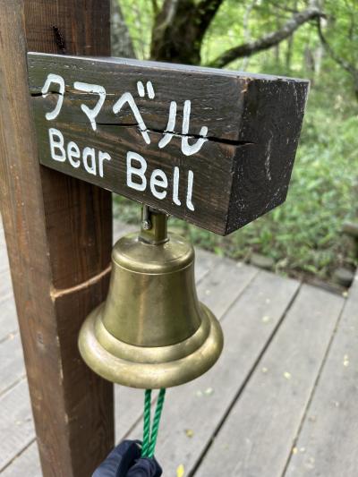 薄曇りから大雨へ、それでも上高地は良かった！！