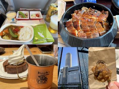 一時帰国は名古屋で新居探しNo.１　JALに乗って久しぶりの名古屋へ　名鉄イン名古屋駅新幹線口宿泊　「コメダ珈琲店」「ひつまぶし名古屋備長」