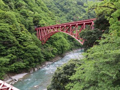 ツアーでいってみた立山黒部アルペンルート　その３　トロッコ電車