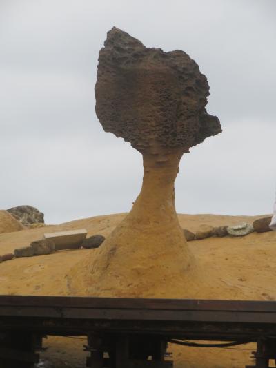 ダイヤモンドプリンセスクルーズ2024~6日目~台湾寄港