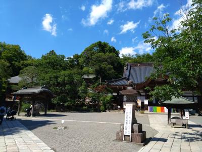 【赤犬の尻尾】深大寺