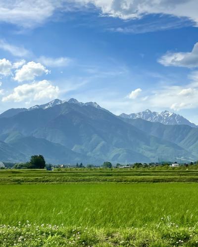 白馬リゾートホテルラネージュ東館。チェロコンサート♪①