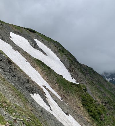 白馬八方尾根の花散策。