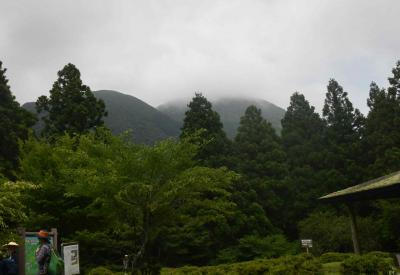 箱根シカ塾　植生保護柵【アサギマダラ】好みの【ヒヨドリバナ】を鹿から守れ　2024.6.25　