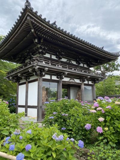 神戸シェラトンホテル＆タワーズで宿泊後は福知山へ紫陽花を観に行きました