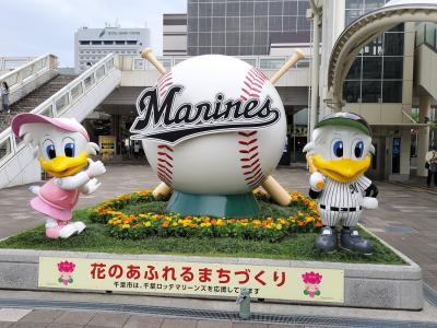 カモメとワシ、10対2でカモメが勝った