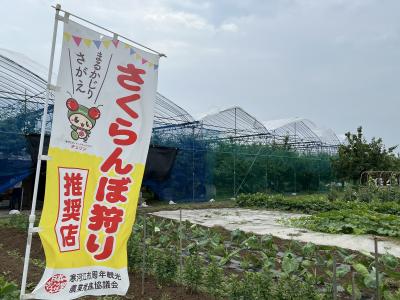 山形県寒河江で佐藤錦さくらんぼ狩り、加茂水族館でクラゲ学習、銀山温泉、蔵王のお釜?／山形新幹線E8系利用
