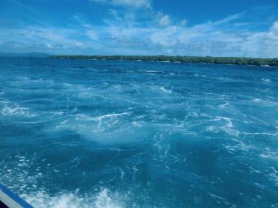 西表島大原滞在10分タッチ&ゴー船旅から石垣の街へ４時間編