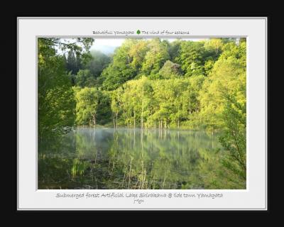 ◆静寂のreflection水鏡～飯豊町・白川ダム湖の水没林 
