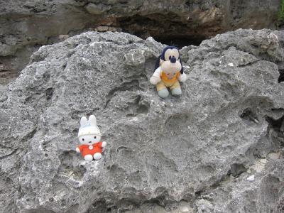 グーちゃん、八重山の島めぐりに行く！（牛さんの島、黒島へ！編）