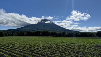 恒例の北海道出張　其の2　今回はニセコエリア
