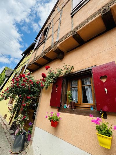 フランスの美しい村を列車で巡る女ひとり旅　コルマール・リクヴィール編