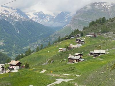 6月のスイス　～　アルプスの絶景めぐり　3　スネガ～ツエルマット　ハイキング　