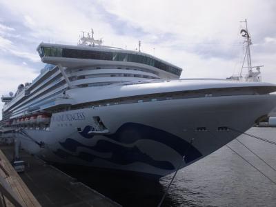 台風に翻弄されたダイヤモンドプリンセス　１日目　横浜まで　乗船までの手続きにへとへと　台風も心配