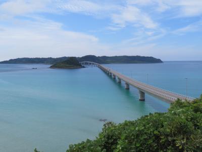 コスタセレーナで航く金沢発着・日本海ショートクルーズ③下関から観光バスで元乃隅神社と角島大橋へ