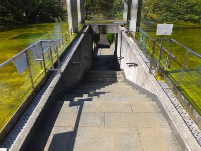 多摩ニュータウン唐木田の公園。水盤があった。