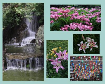 可睡斎ゆり園、可睡斎風鈴まつり＆天竜浜名湖鉄道に乗ったはいいけど(-_-;)　前編