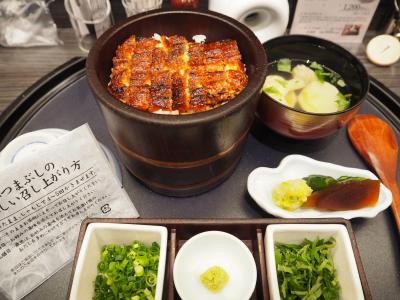 【最終章】あおなみ線で名古屋☆ひつまぶしと赤福☆こだまグリーン車で小田原☆駅弁「うなぎ金目銀鮭」