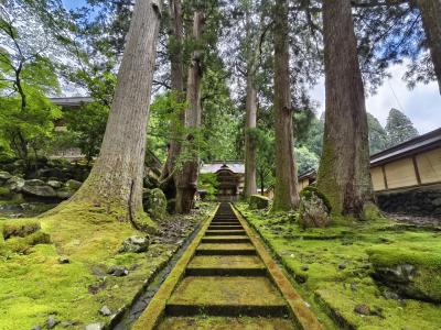 祝、北陸新幹線 敦賀延伸記念、最後の未訪問都道府県の福井県に行ってきました！