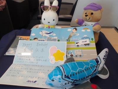 障害者の私が行く！お得なANA特典航空券の誕生日旅行　その４(完)　突然の体調急変した上海乗り継ぎ滞在＆ＡＮＡビジネスクラスに乗って帰国へ