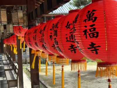 午後からの日帰り宇治(萬福寺/平等院/伊藤久右衛門)