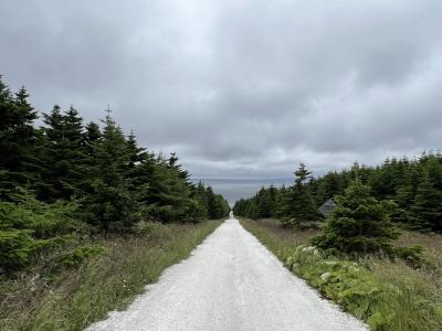 道北の旅　再び 2