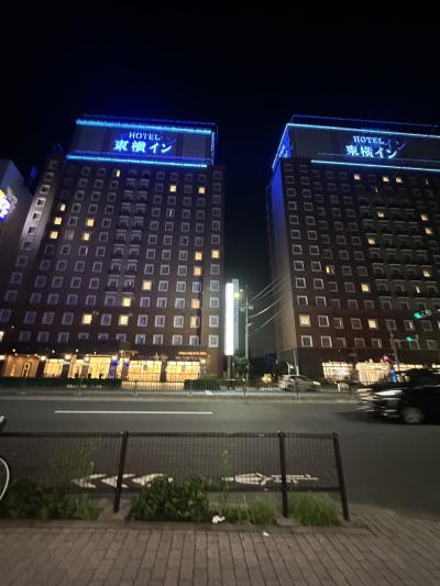 リベンジ　梅雨明けの西表島　前泊