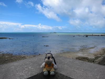 グーちゃん、八重山の島めぐりに行く！（小浜島/シュガーロードを突っ走れ！編）