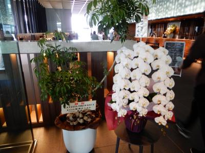 近場旅)千葉トク利用の浦安ハイアット＆祝開業ラビスタ東京ベイ２泊旅3－2