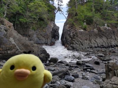 宮城県　を たびするトリ　24年6月