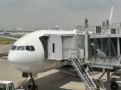 気晴らしプラテートタイひとり旅 ダイジェスト編