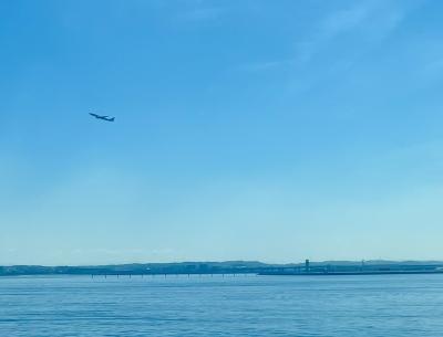 太平洋フェリー『いしかり』仙台～名古屋その2