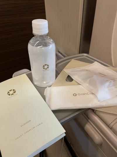 グランクラスで行くふらっと盛岡一人旅1日目