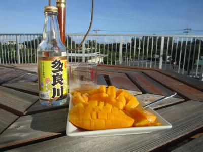 気分は海外旅行 ～ 南国の楽園宮古島へ　（その3）