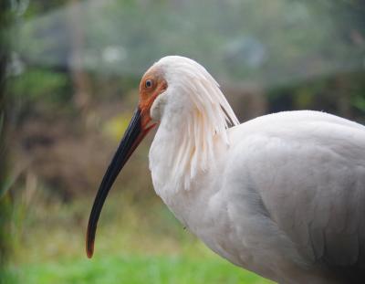 目指せ世界遺産　佐渡は予想以上に見どころいっぱい　（３）