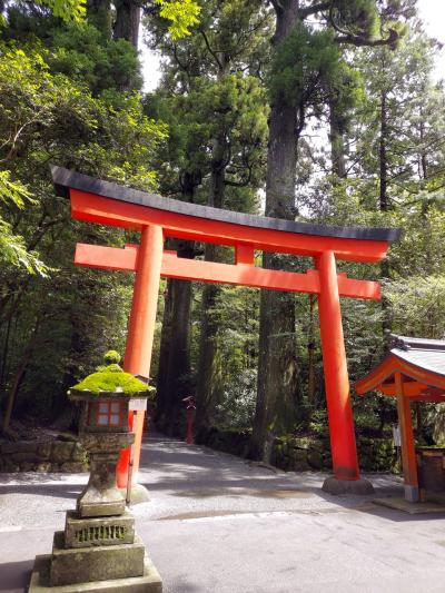 2度めの星野リゾート！「 箱根  界」 