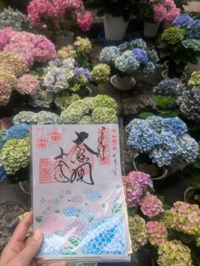 紫陽花回廊　奈良長谷寺とリニューアルなにけんサウナ泊まり