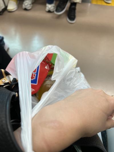 令和6年6月中国Lビザ(観光)取得記