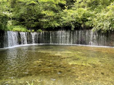 仔猫といっしょ計画（群馬・長野旅行２０２４　２日目 軽井沢編）