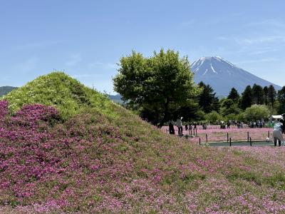 本栖湖の芝桜とその周辺（二日目）