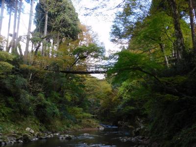 『越前そばの里』～福井の『かずら橋』◆ふと思い立って福井へ１泊旅行≪その１≫