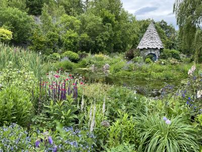 2024年初夏の北海道ガーデン街道を巡る旅　1日目　旭川編